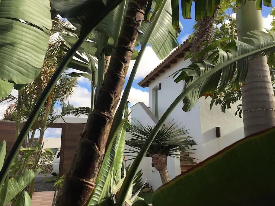 Villa Volcano Lajares
